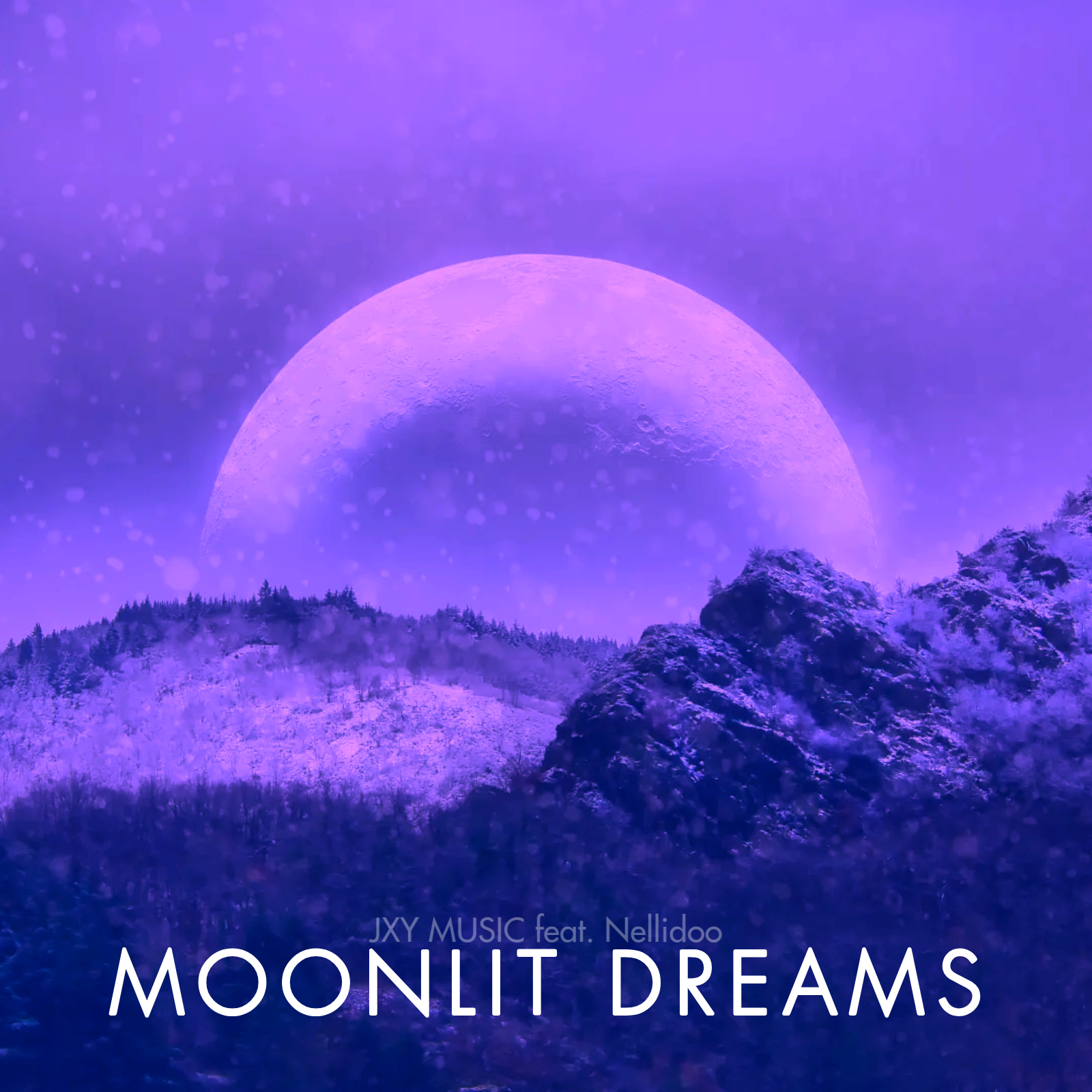 Moonlit Dreams